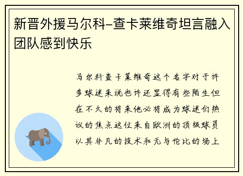 新晋外援马尔科-查卡莱维奇坦言融入团队感到快乐